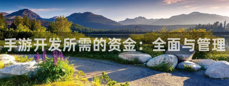 完美电竞加拿大开奖：手游开发所需的资金：全面与管理