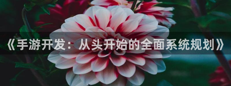 完美电竞app官网下载：《手游开发：从头开始的全面系统规划》