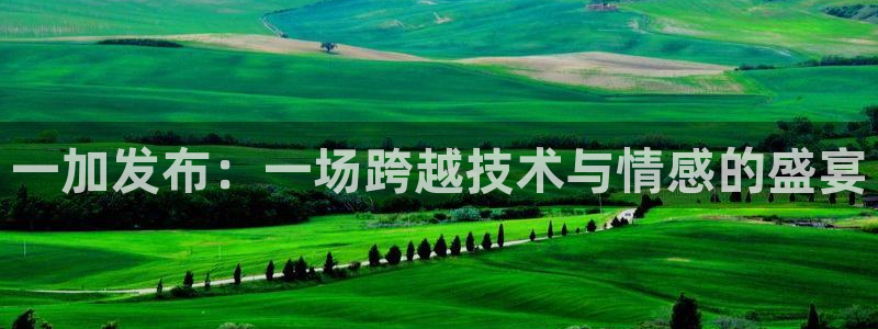 足球直播360吧：一加发布：一场跨越技术与情感的盛宴