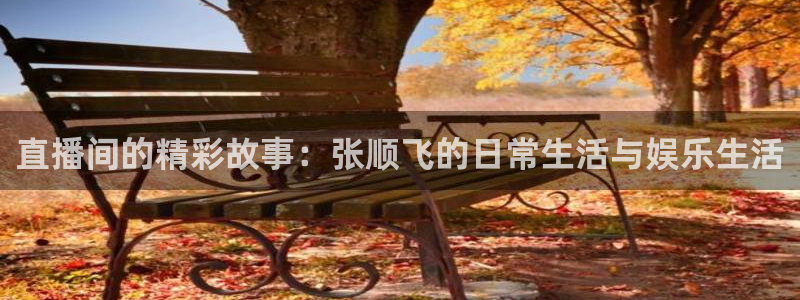 360体育直播雨燕直播在线观看：直播间的精彩故事：张顺飞的日常生活与娱乐生活