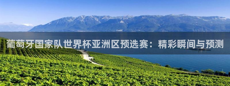 360体育足球直播平台：葡萄牙国家队世界杯亚洲区预选赛：精彩瞬间与预测