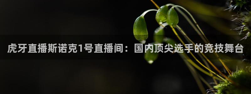 360直播体育在线观看：虎牙直播斯诺克1号直播间：国内顶尖选手的竞技舞台