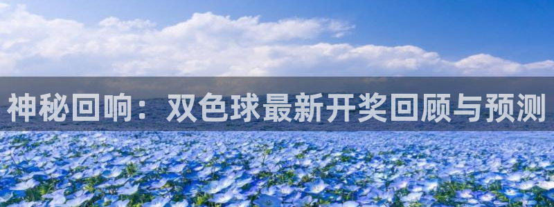 360体育直播频道：神秘回响：双色球最新开奖回顾与预测