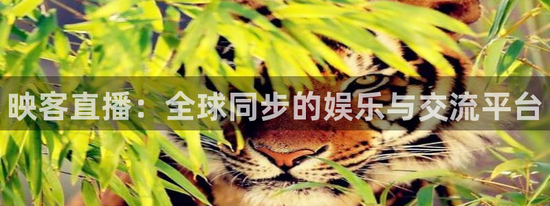 360体育斯诺克直播：映客直播：全球同步的娱乐与交流平台